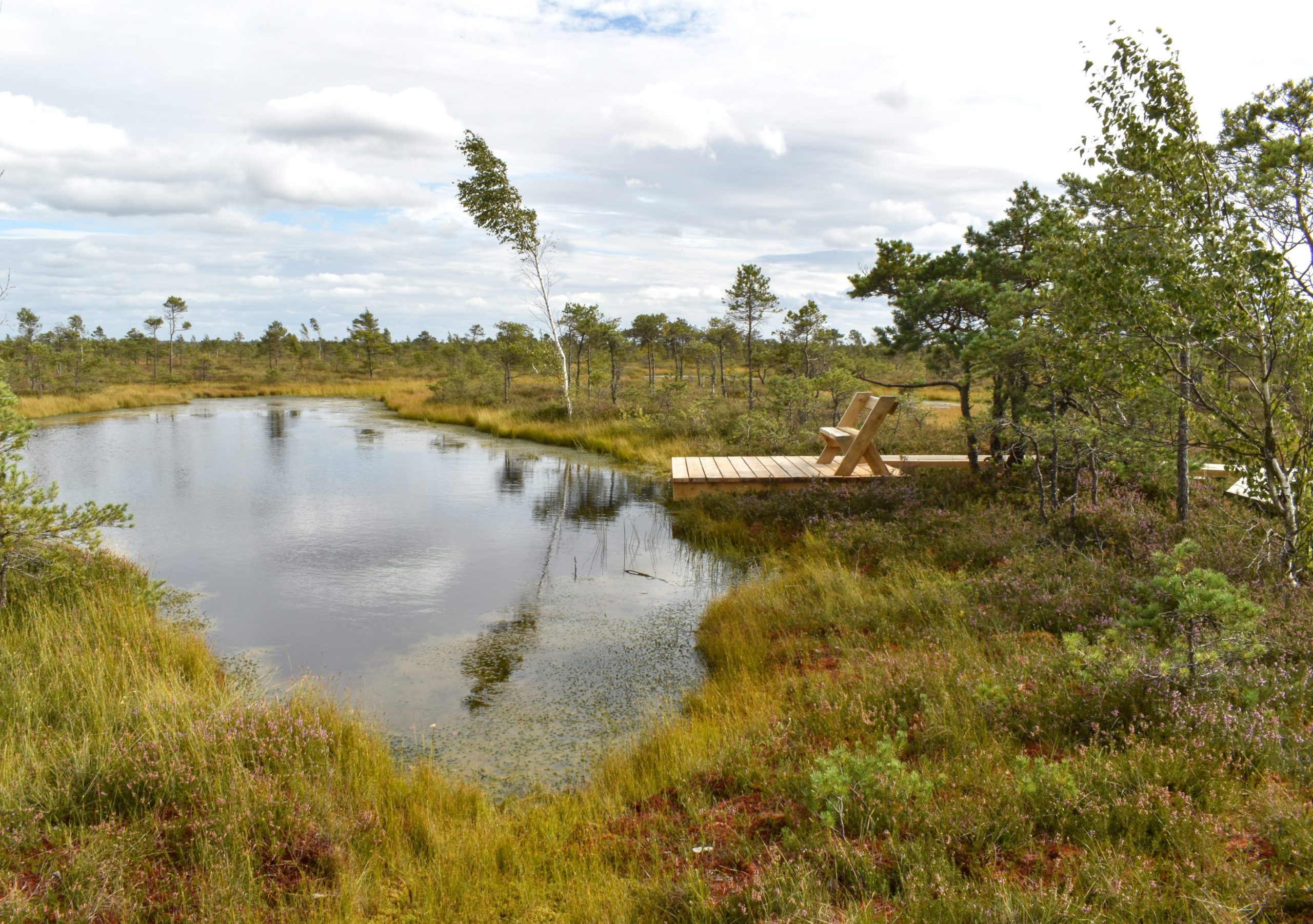 kemeri national park journey from Riga