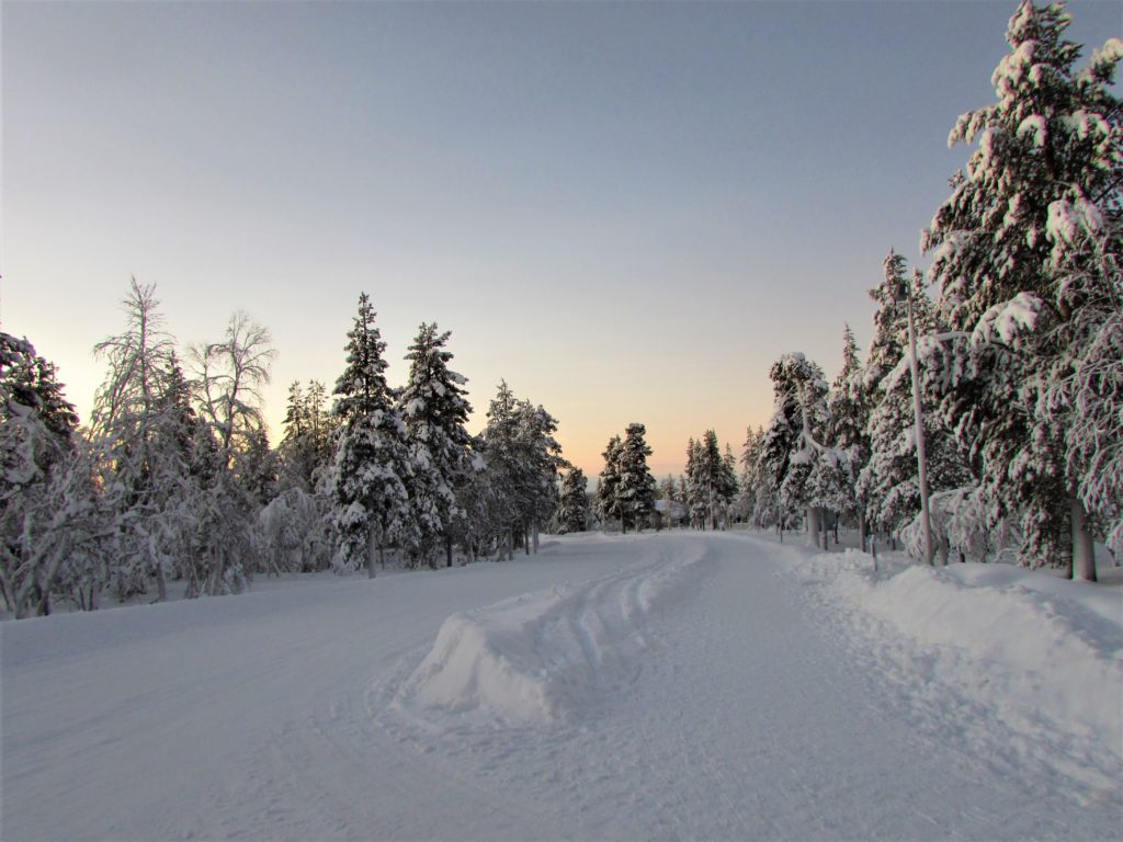 5 Vegan Cafes In Helsinki You Need To Check Out Veganhaven 5-vegan-cafes-in-helsinki-you-need-to-check-out-veganhaven