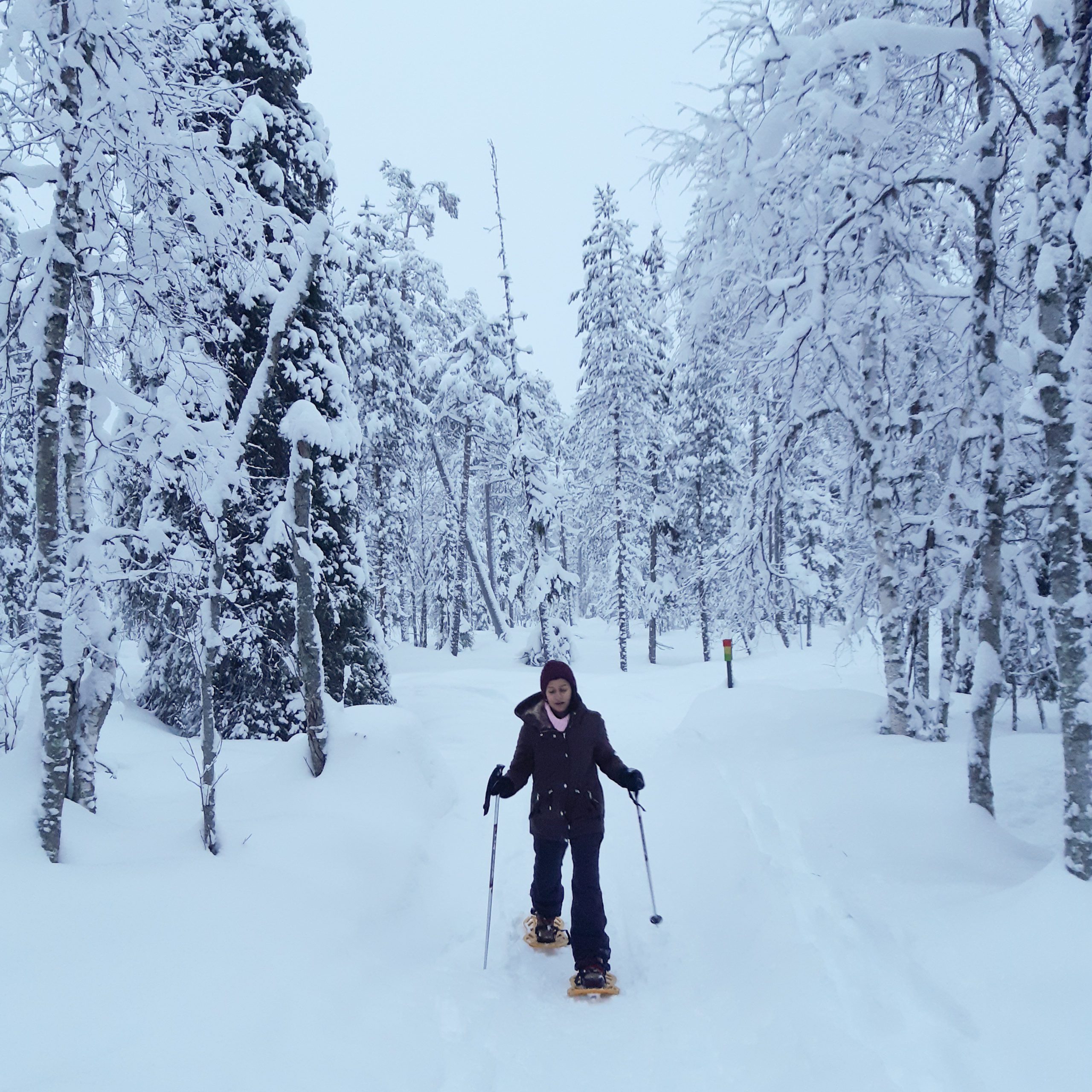 snowshoe hiking in Pyhätunturi Lapland Finland