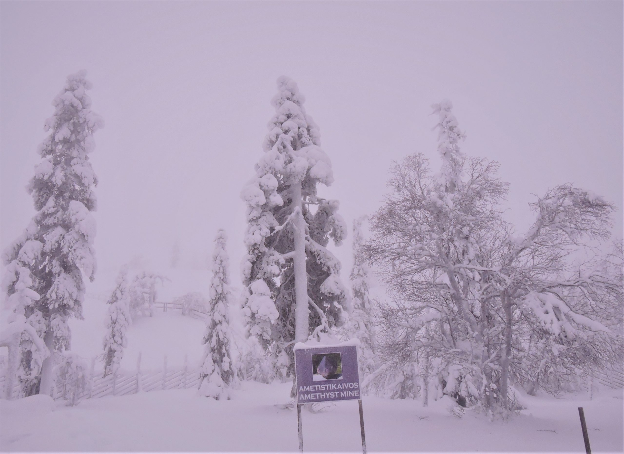 pyhätunturi Lapland