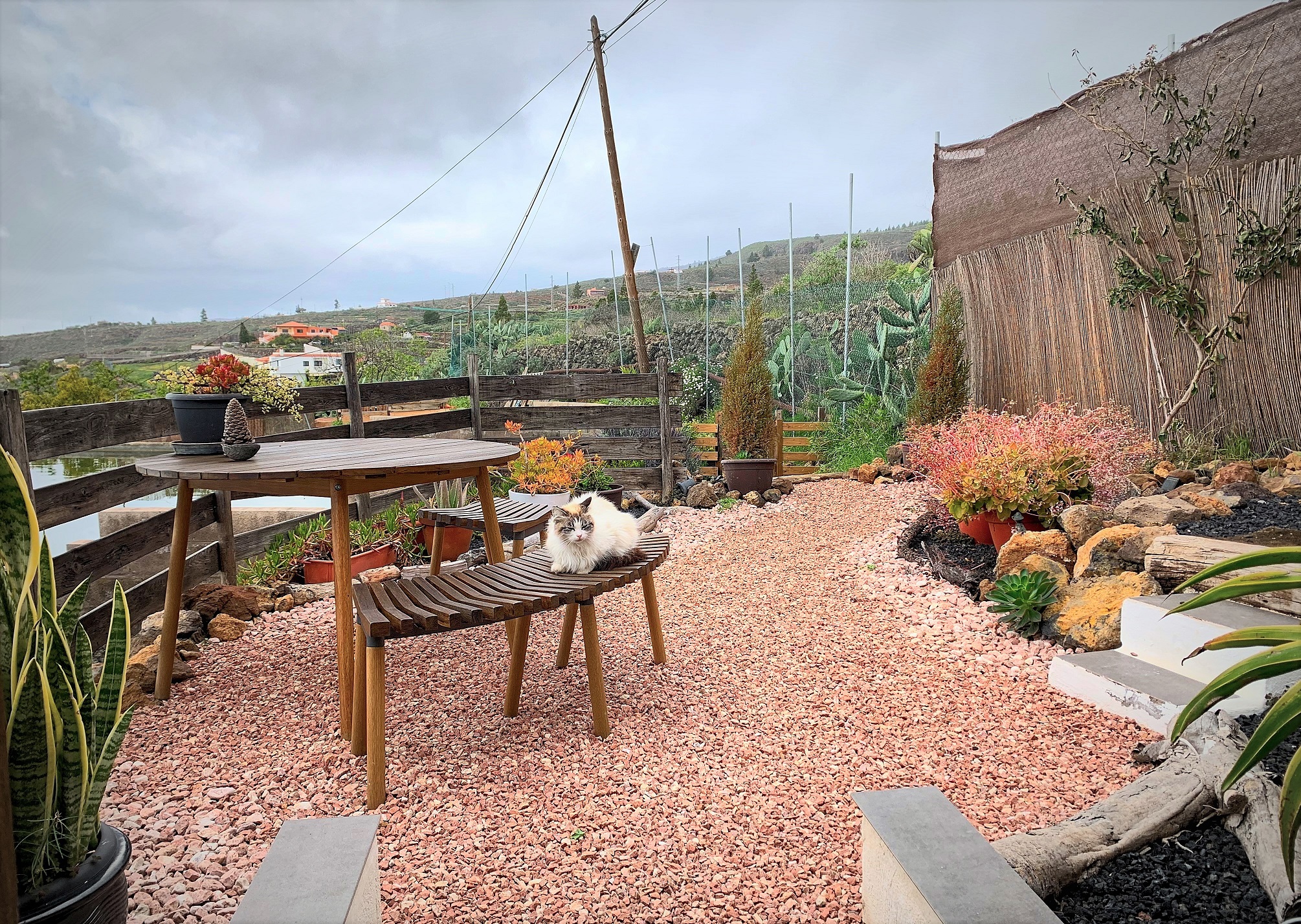 eco bnb tenerife
